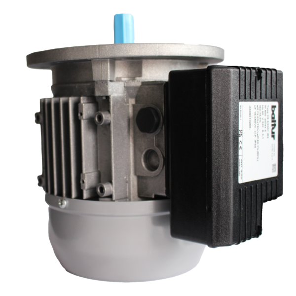 0005010208 - MOTORE MONO 500W 22060